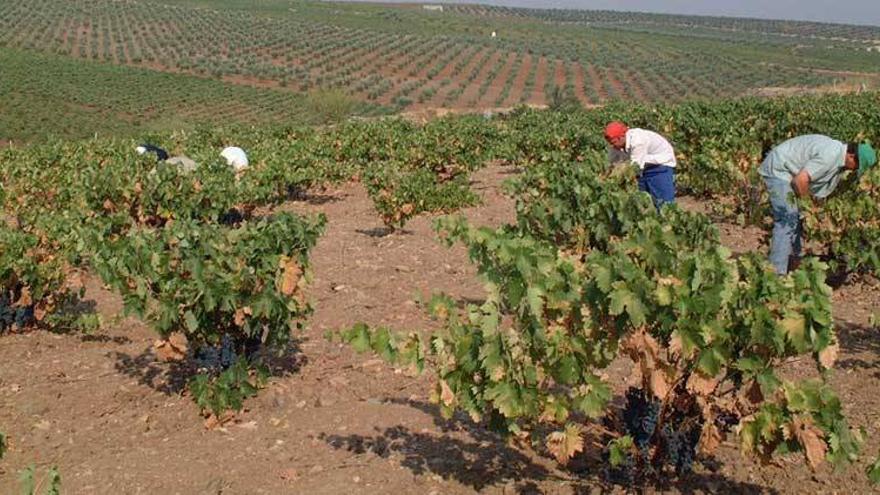 Los sindicatos piden la mediación de la Junta para negociar el convenio del campo