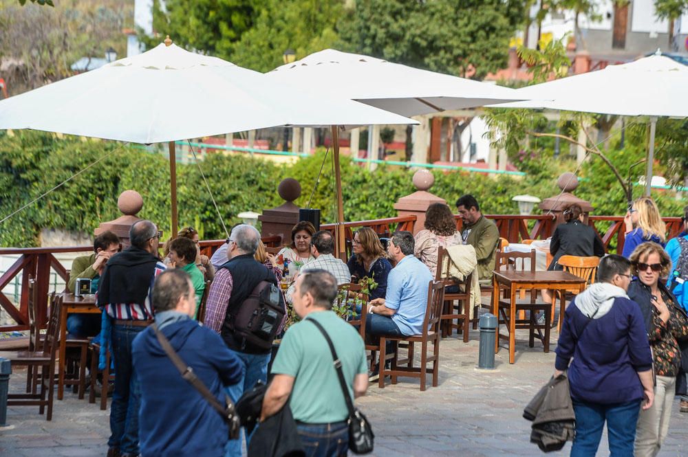 AMBIENTE TURISTAS EN TEJEDA