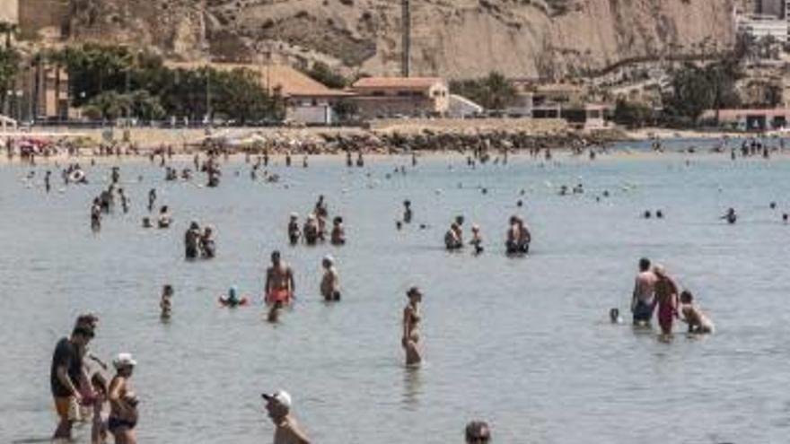 La temperatura del mar está ya en los 24 grados en muchas playas como la alicantina del Postiguet.