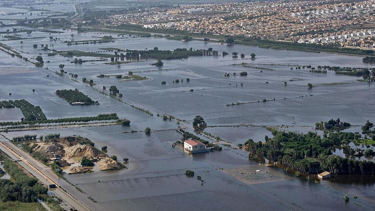 Inundación de la huerta de Dolores y San Fulgencio tras la DANA de septiembre de 2019. | ÁXEL ÁLVAREZ