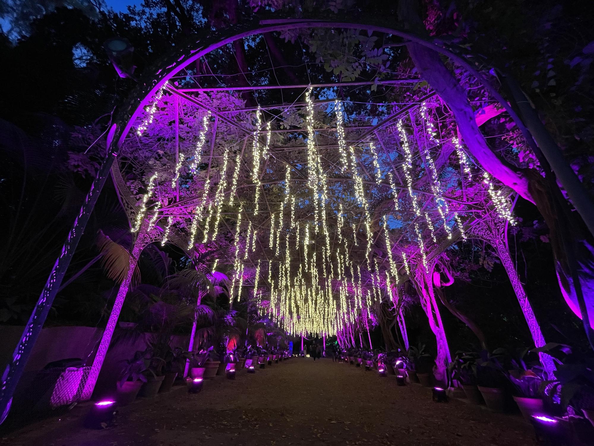 El Jardín Botánico Histórico La Concepción enciende sus luces de Navidad