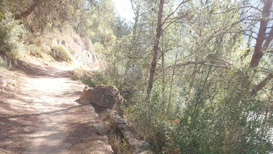 El canal de Bellús en la Lista Roja
