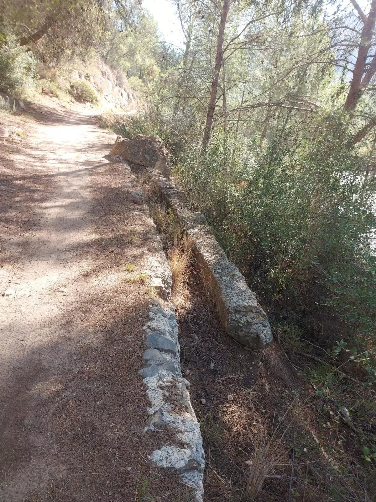 El canal de Bellús en la Lista Roja