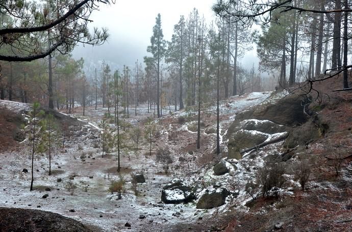 NIEVE CUMBRE GRAN CANARIA