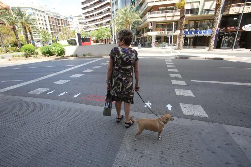 Alicante señaliza los dos sentidos de circulación en los pasos de peatones