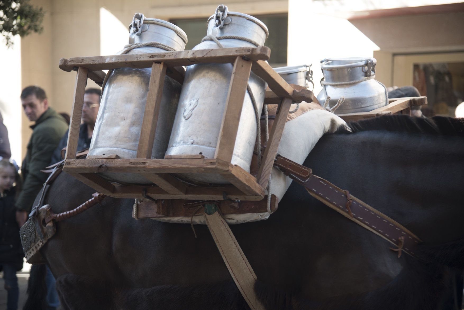 Les millors imatges dels Traginers de Balsareny