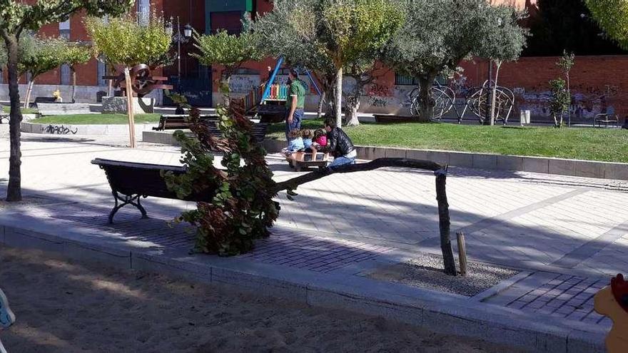 Los actos vandálicos vuelven a la Mota y destrozan uno de los árboles del parque