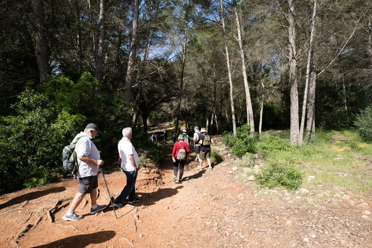 Sa Fontassa recupera su caudal