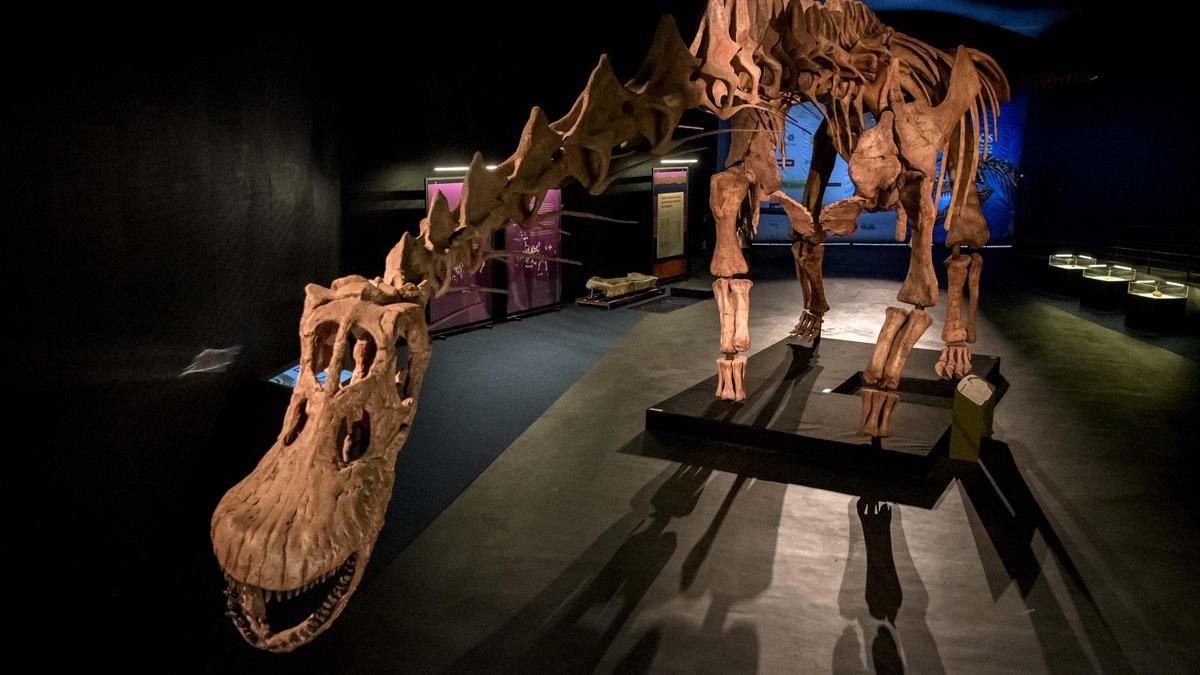 Réplica completa del mayor dinosaurio descubierto hasta el momento, Patagotitan mayorum, protagonista de la exposición que abre la temporada en CosmoCaixa Barcelona en octubre y que llegará a Madrid el próximo julio.