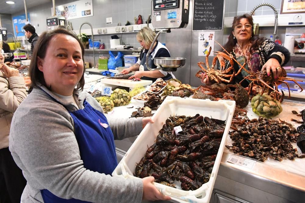 Percebes que alcanzan los 120 euros el kilo, cigalas, centollas, lubrigantes...