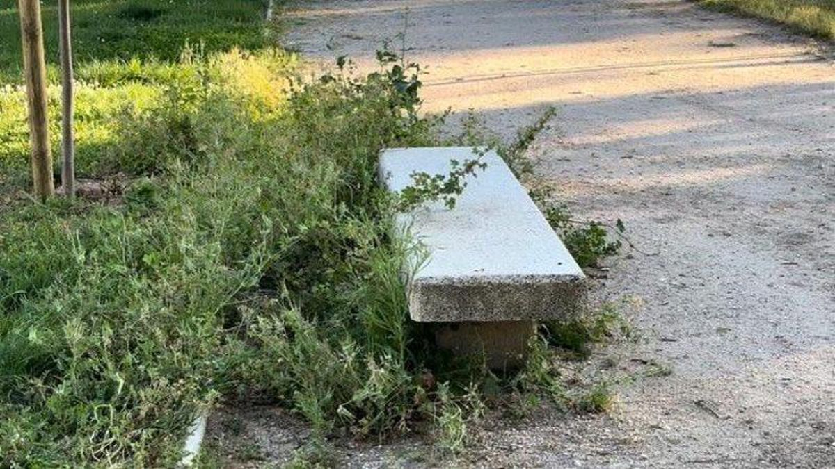 Zona de un parque en estado de dejadez, según el PSOE.