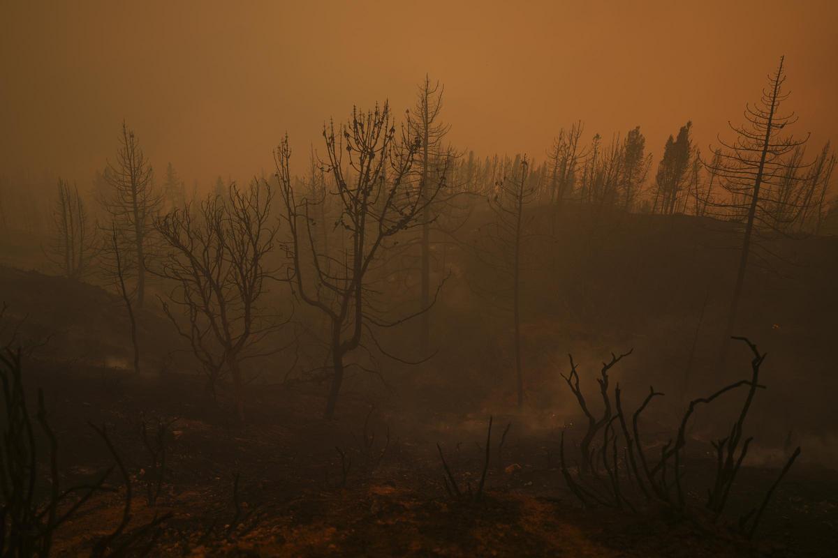 Grandes incendios en la zona de Running Springs en California