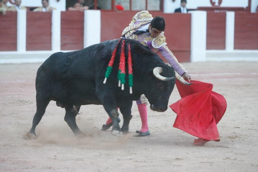 Toros en Zamora