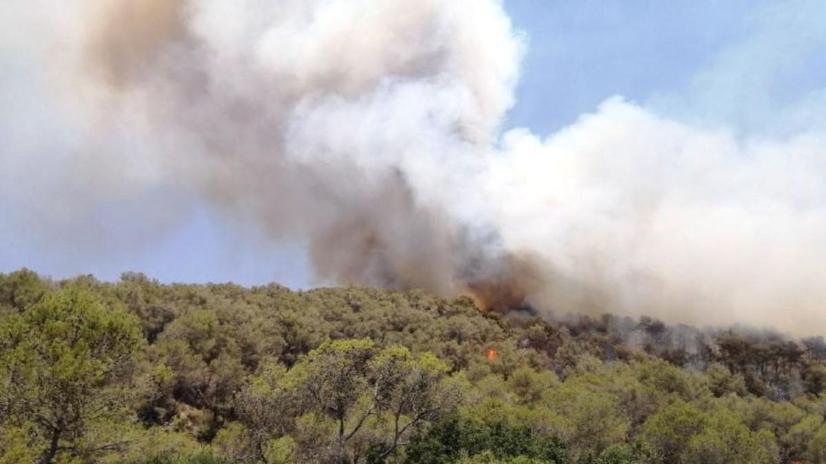 La columna de fum de l’incendi d’Olivella, al massís del Garraf, ahir. | AGENTS RURALS