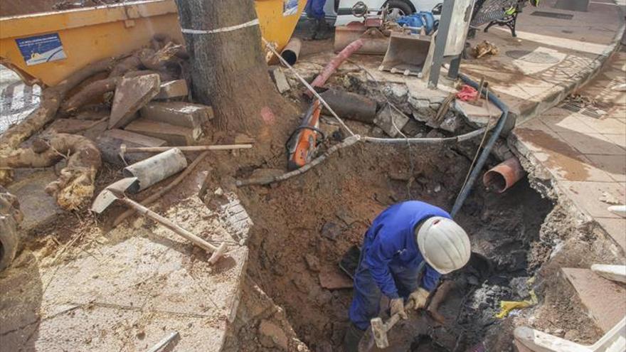 Una avería de agua obliga a talar un árbol para arreglar la tubería