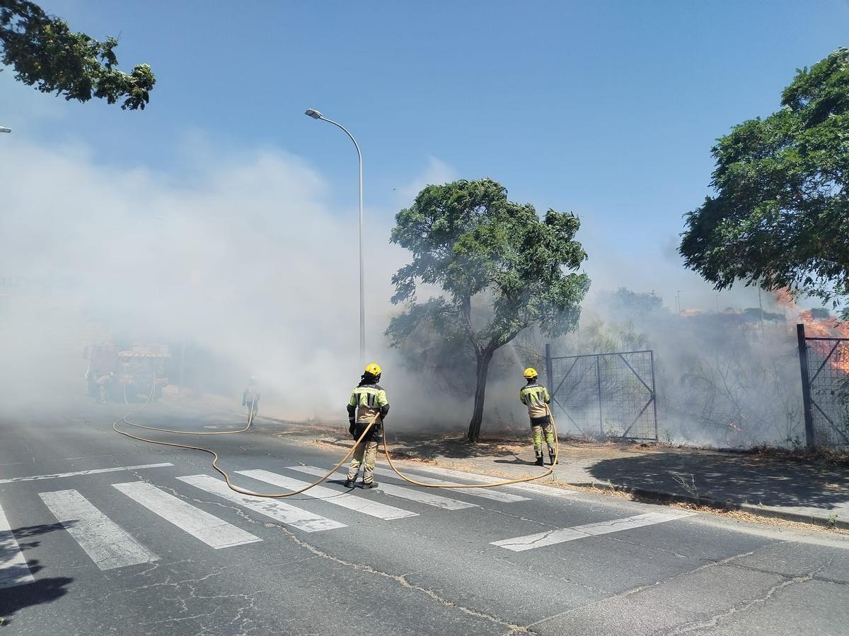 Fotogalería | Incendio de pastos en Plasencia
