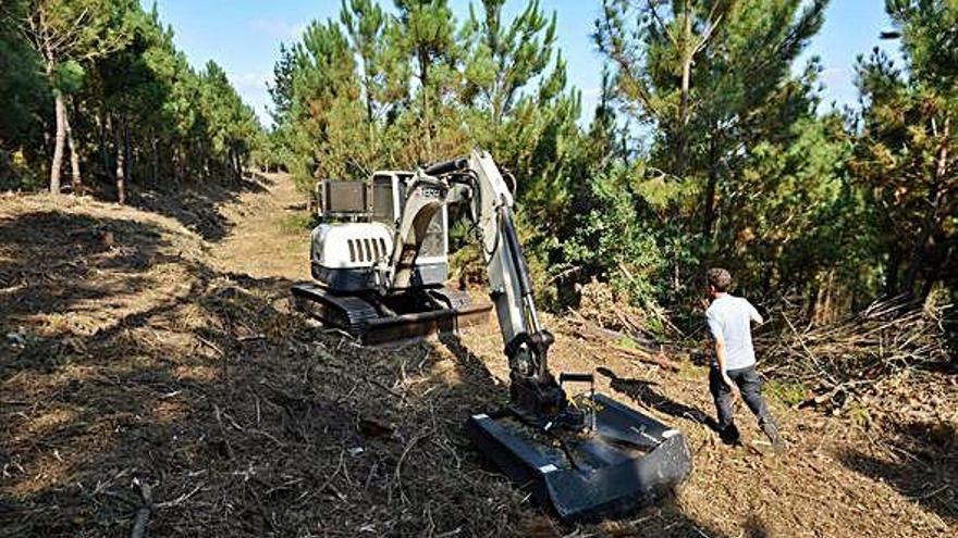 Trabajos de desbroce en un monte gallego.