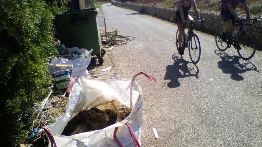 Varios ciclistas pasan ante la saca con los dos animales muertos antes de la llegada del SEPRONA.