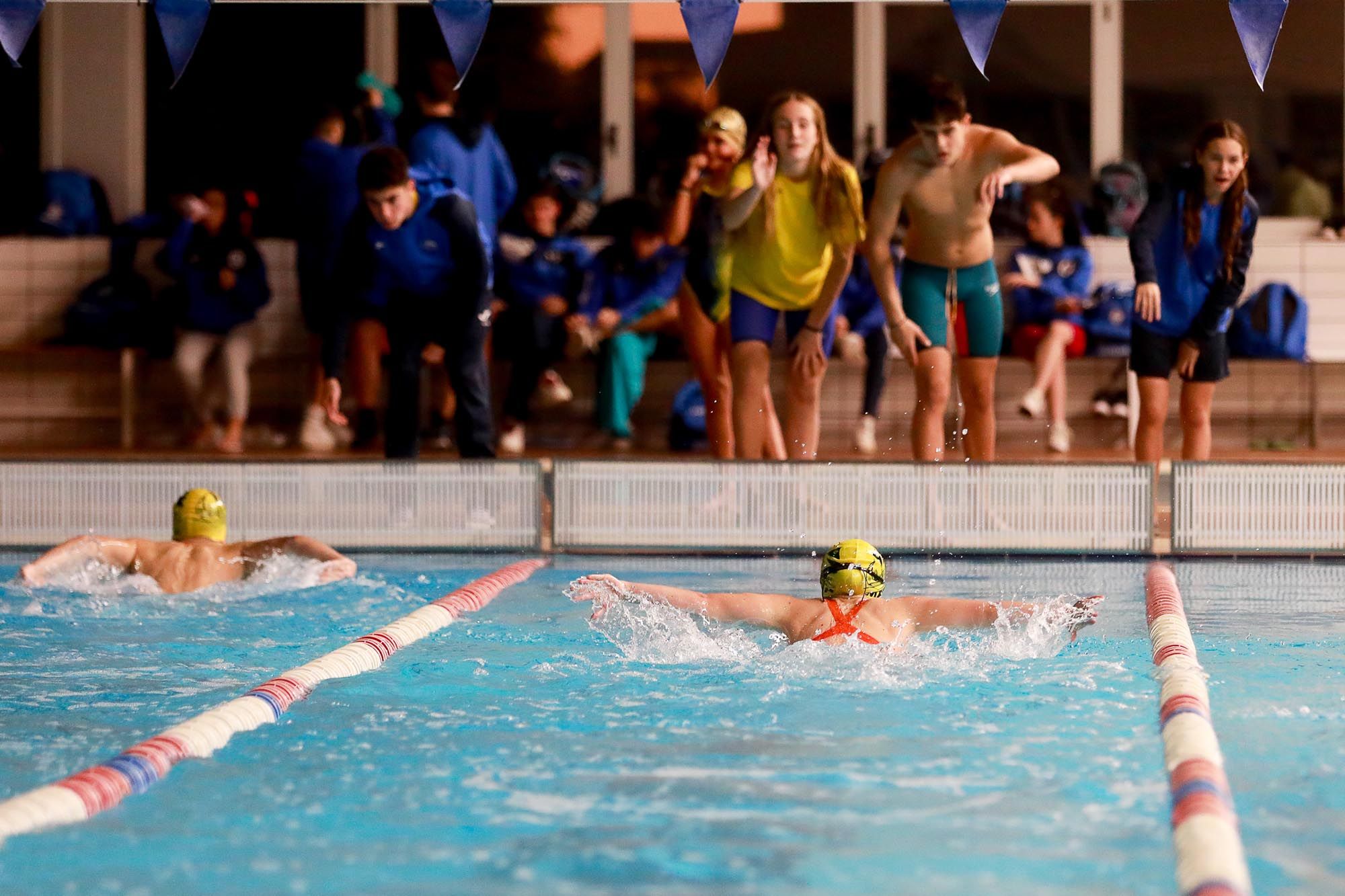 Trofeo Portus de Natación