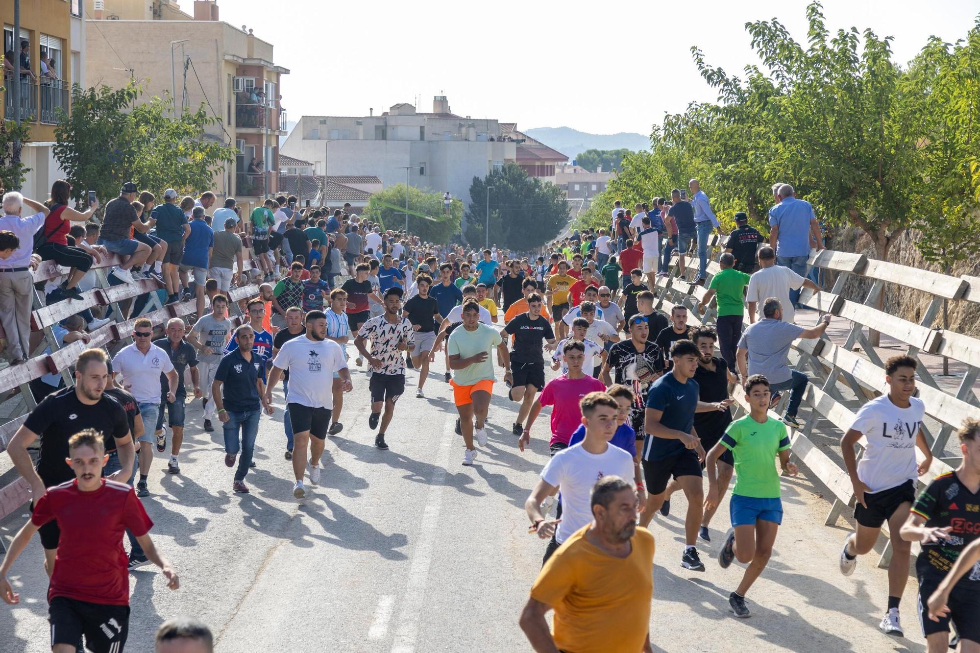 Cuarto encierro de la Feria Taurina del Arroz en Calasparra