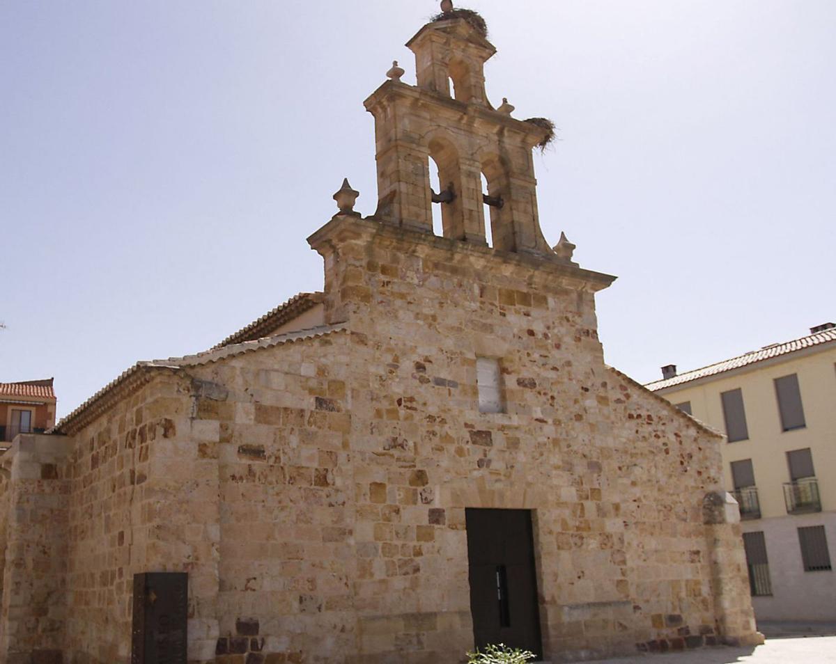 ¿Una cripta en la Catedral de Zamora?