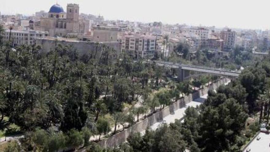 El Parque Municipal de Elche, enclavado en el corazón del Palmeral histórico, en el tramo que da a la ladera del río.