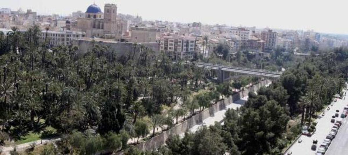 El Parque Municipal de Elche, enclavado en el corazón del Palmeral histórico, en el tramo que da a la ladera del río.