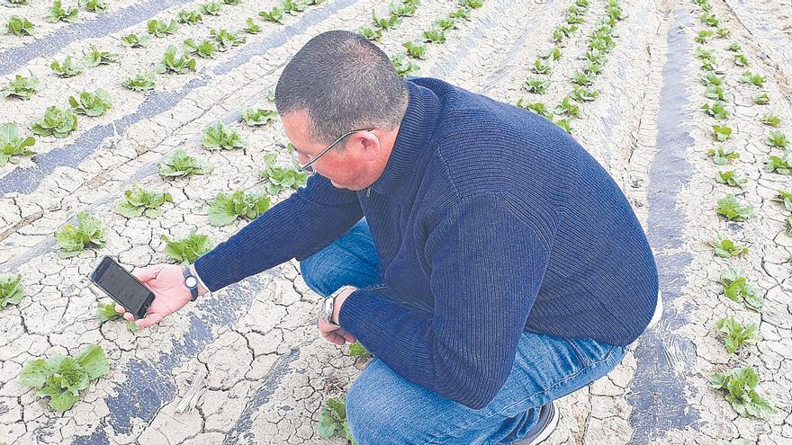 Investigadores y empresas crean la plataforma Genhidro para facilitar  el máximo rendimiento del riego