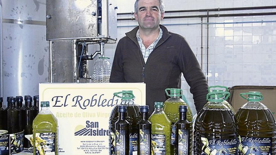 La cooperativa San Isidro moltura unos 430.000 kilos de aceituna