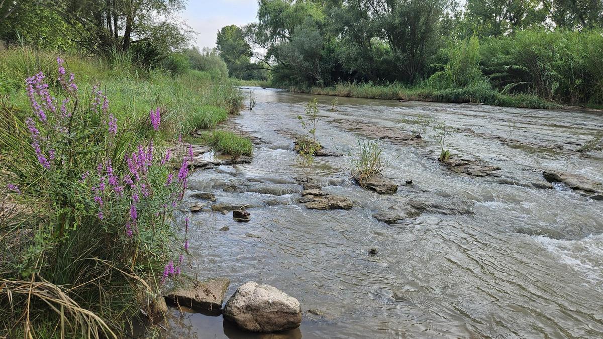 El riu Llobregat a l’altura del terme de Sant Fruitós