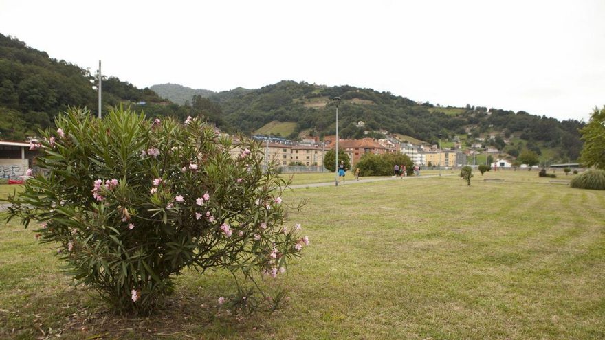 El parque inglés de El Entrego contará con una zona para perros | LNE