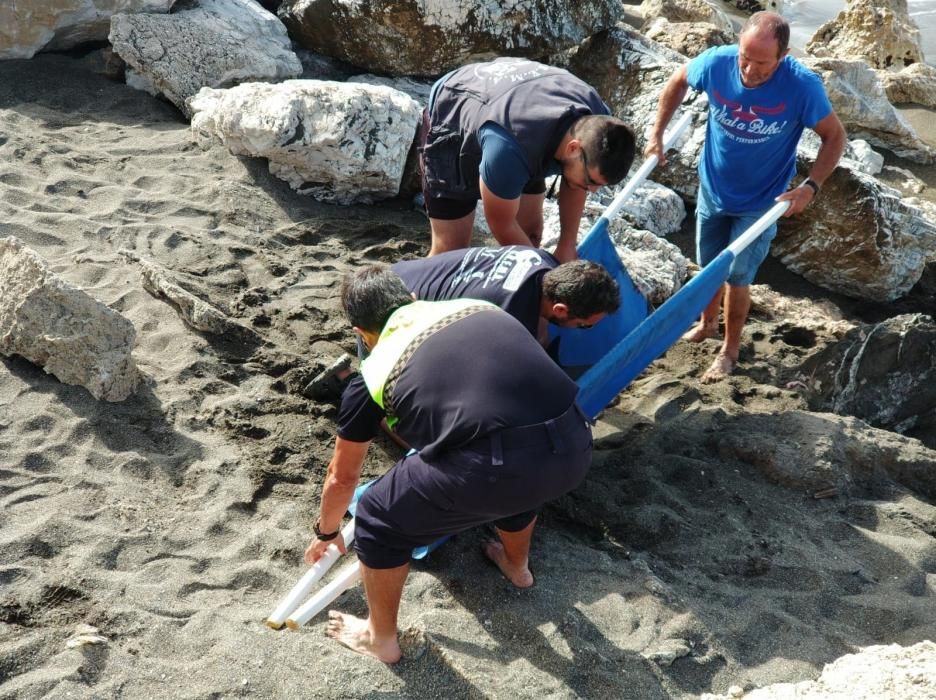 El CREMA rescata a un joven delfín varado en Chilches