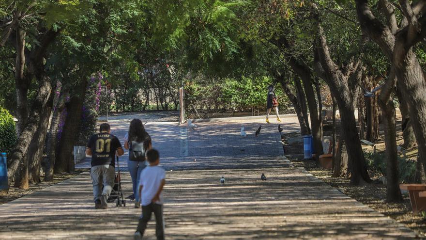 Un recurso paraliza la adjudicación del macrocontrato de 113 millones de euros de zonas verdes de Torrevieja