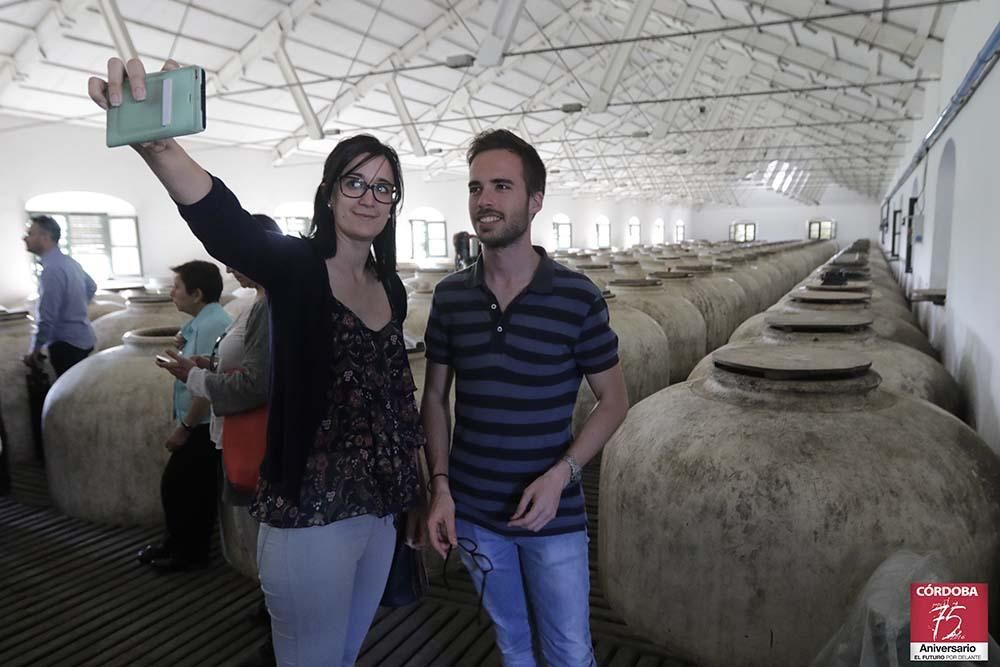 La ruta de Munda, un viaje por la Córdoba Romana