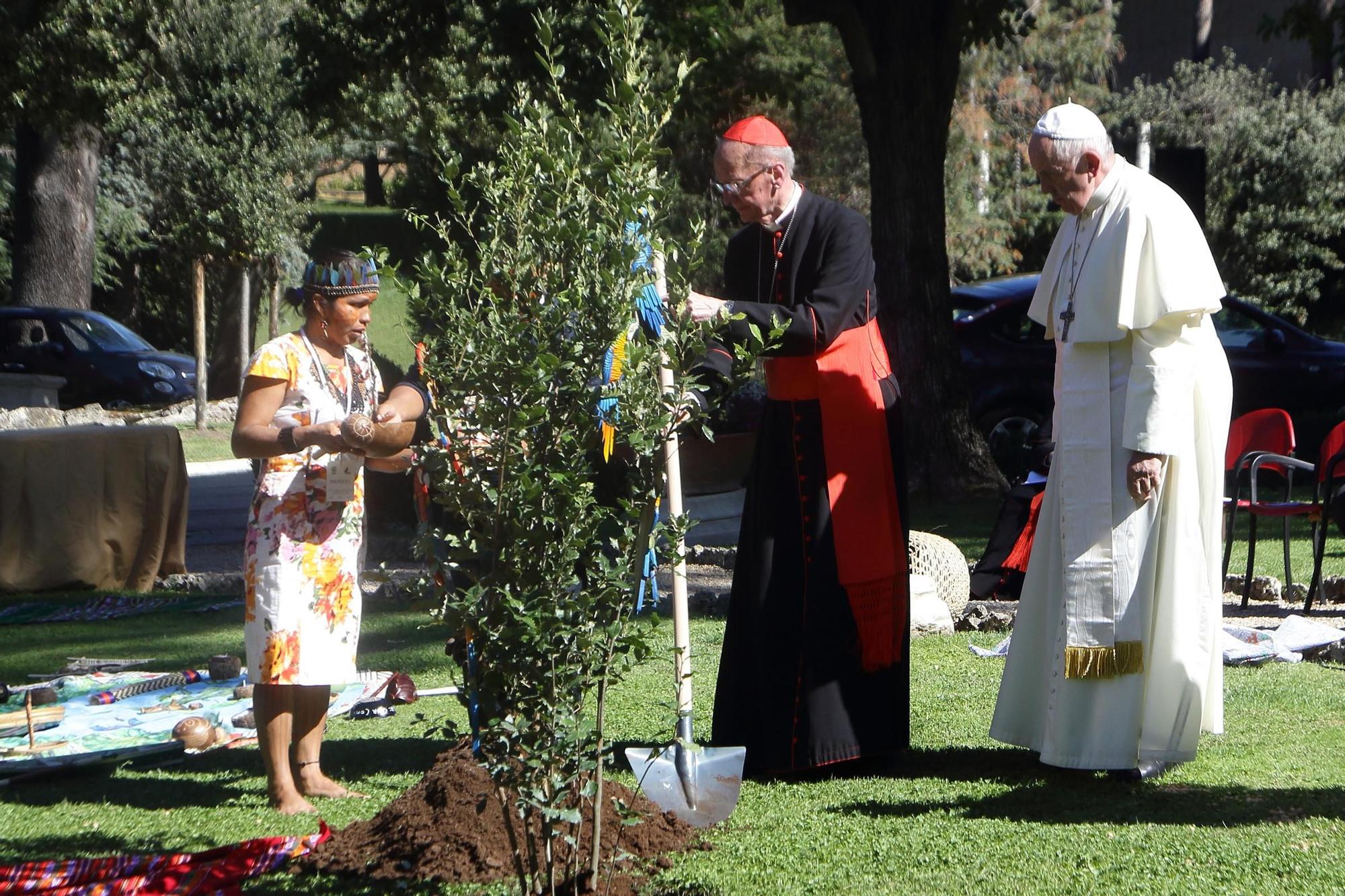 Recull de fotos de la vida del Papa Francesc