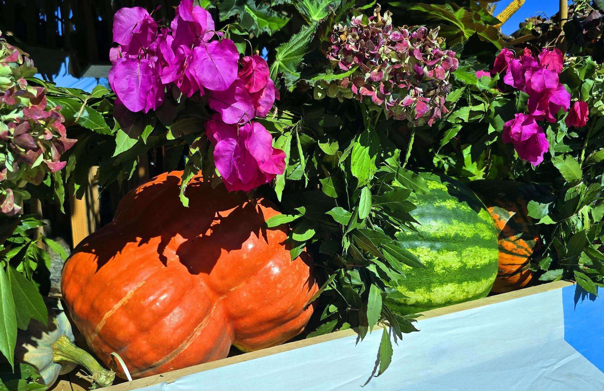 Tradicional procesión en San Miguel de Peitieiros