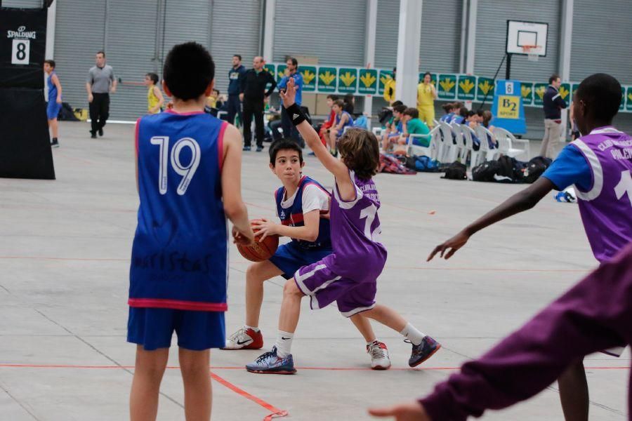 Fanatic Minibasket de Zamora