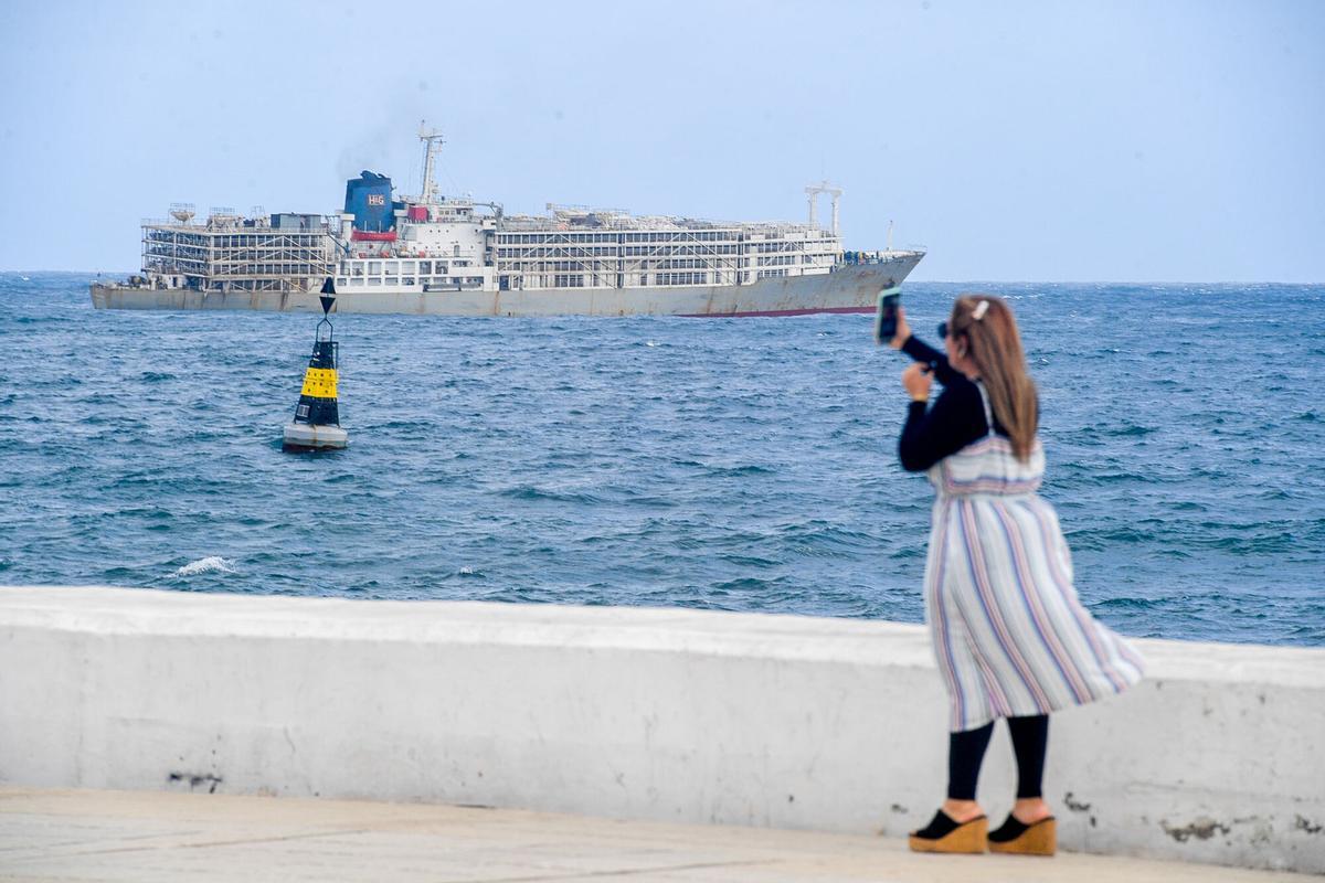 Barco 'Zein I', fondeado cargado de vacas en el Puerto de Las Palmas Barco 'Zein I', fondeado cargado de vacas en el Puerto de Las Palmas
