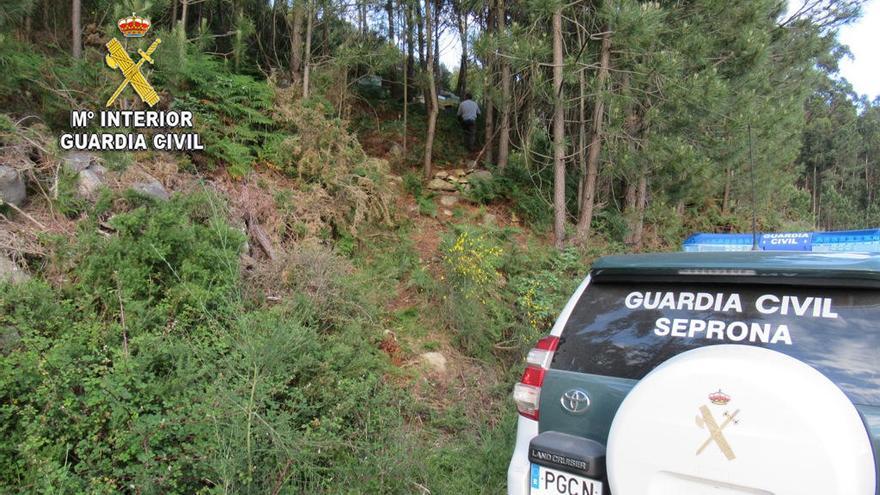 Los agentes del Seprona en la zona de la explotación apícola.