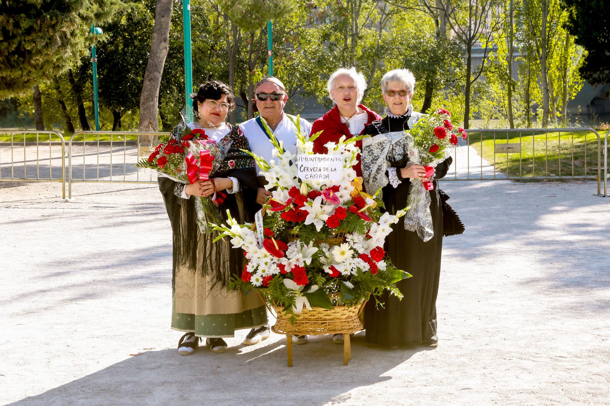 CERVERA DE LA CAÑADA