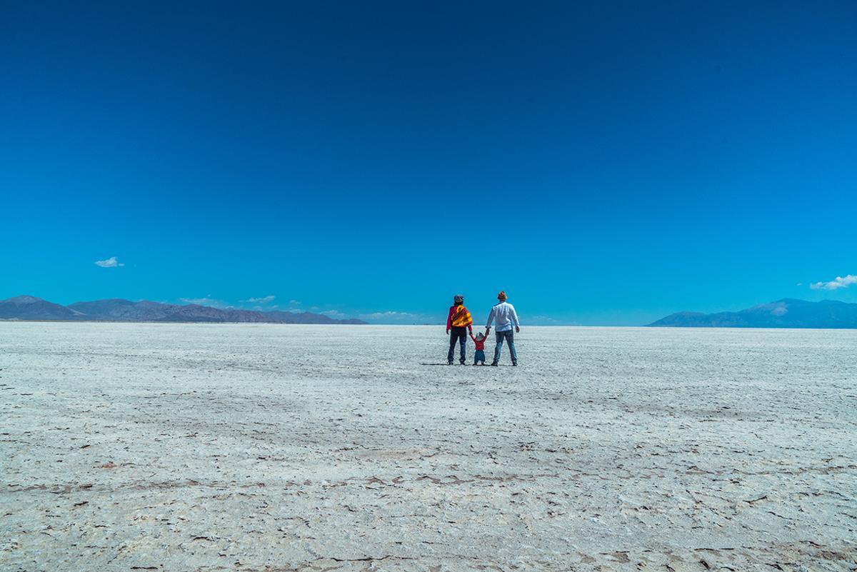 Otro de los impresionantes viajes de los canarios.