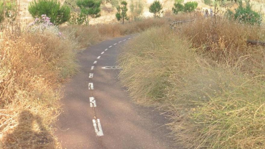 Equo denuncia el abandono del carril bici a Rabanales