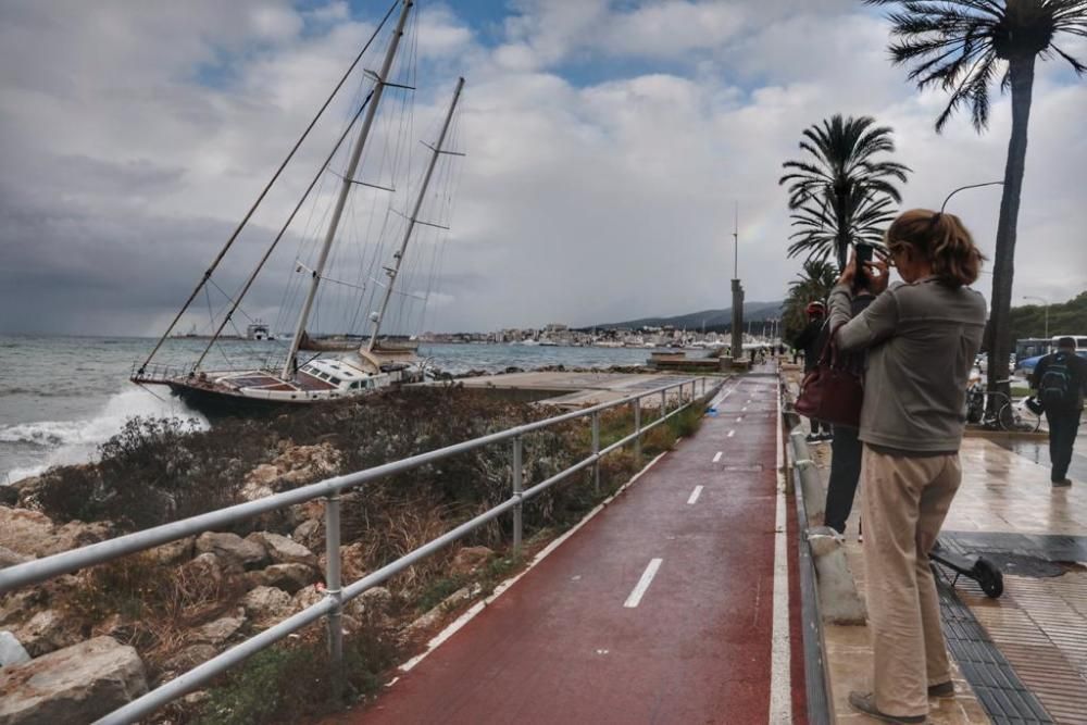 Un velero a la deriva embarranca en Palma