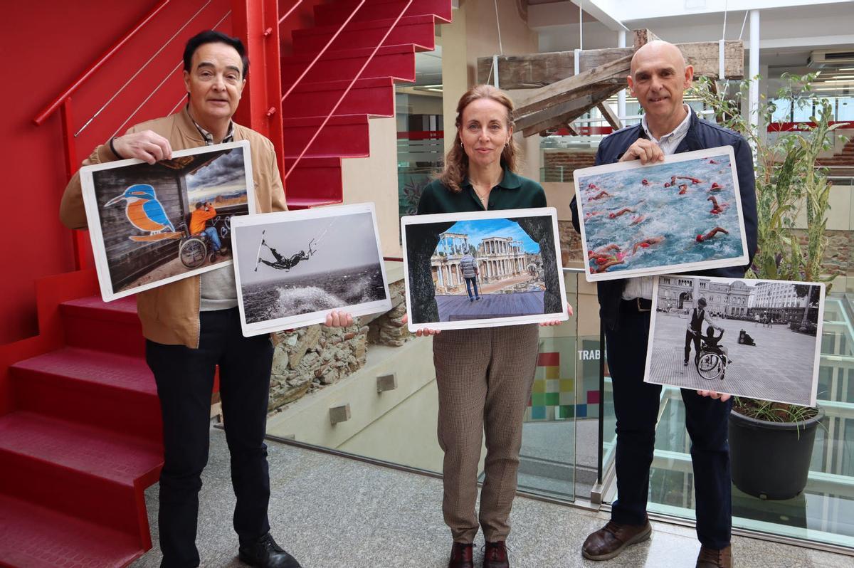 Las obras de los cuatro primeros premios.