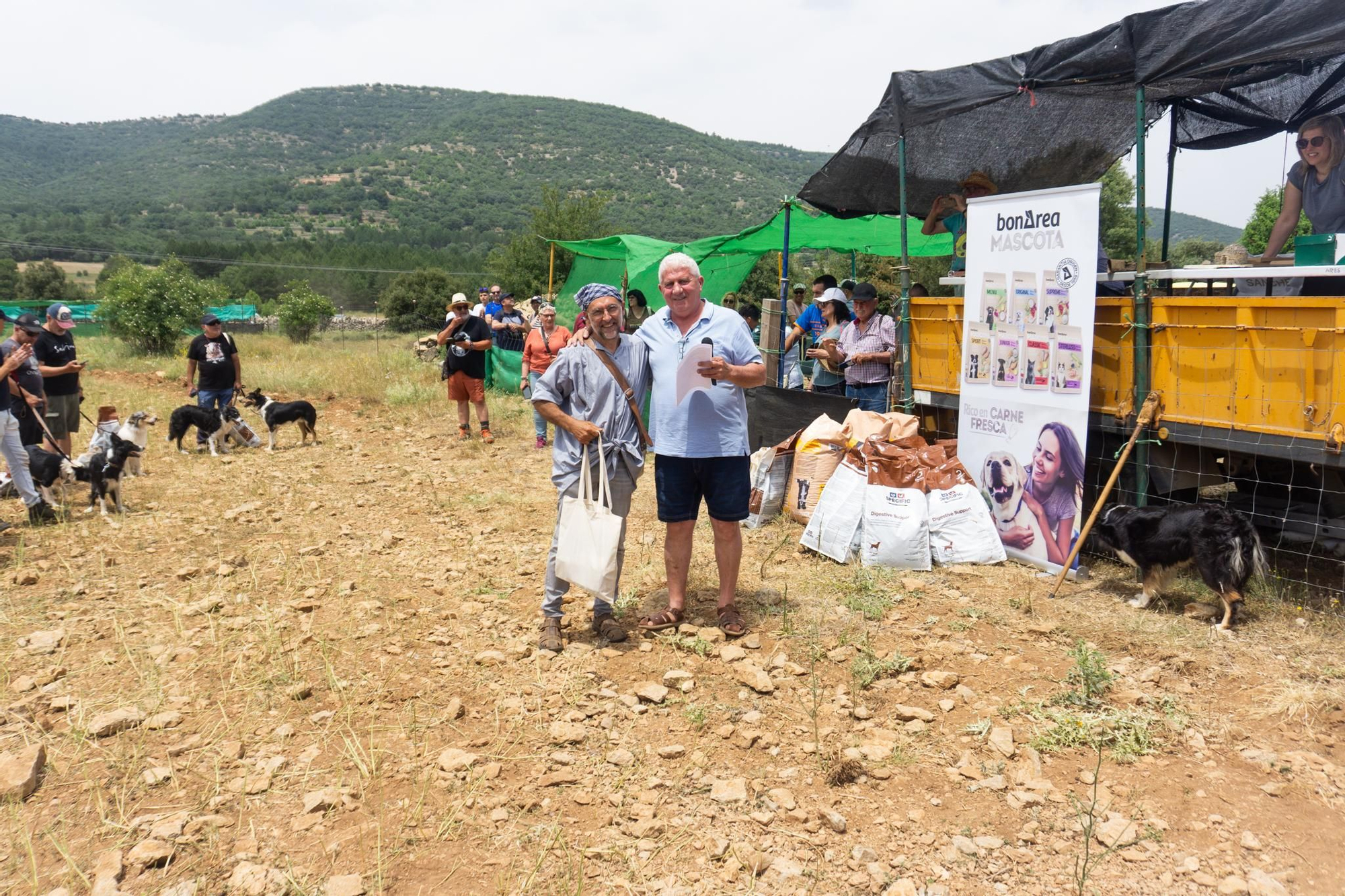FOTOGALERÍA: Las imágenes del concurso de perros pastores de Ares del Maestrat