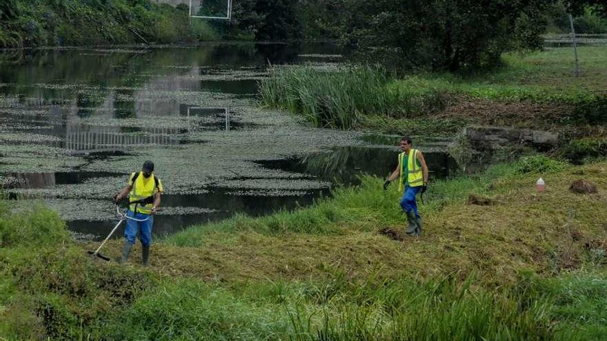 Una actuación de limpieza en el cauce del río Umia, en Caldas. // Iñaki Abella