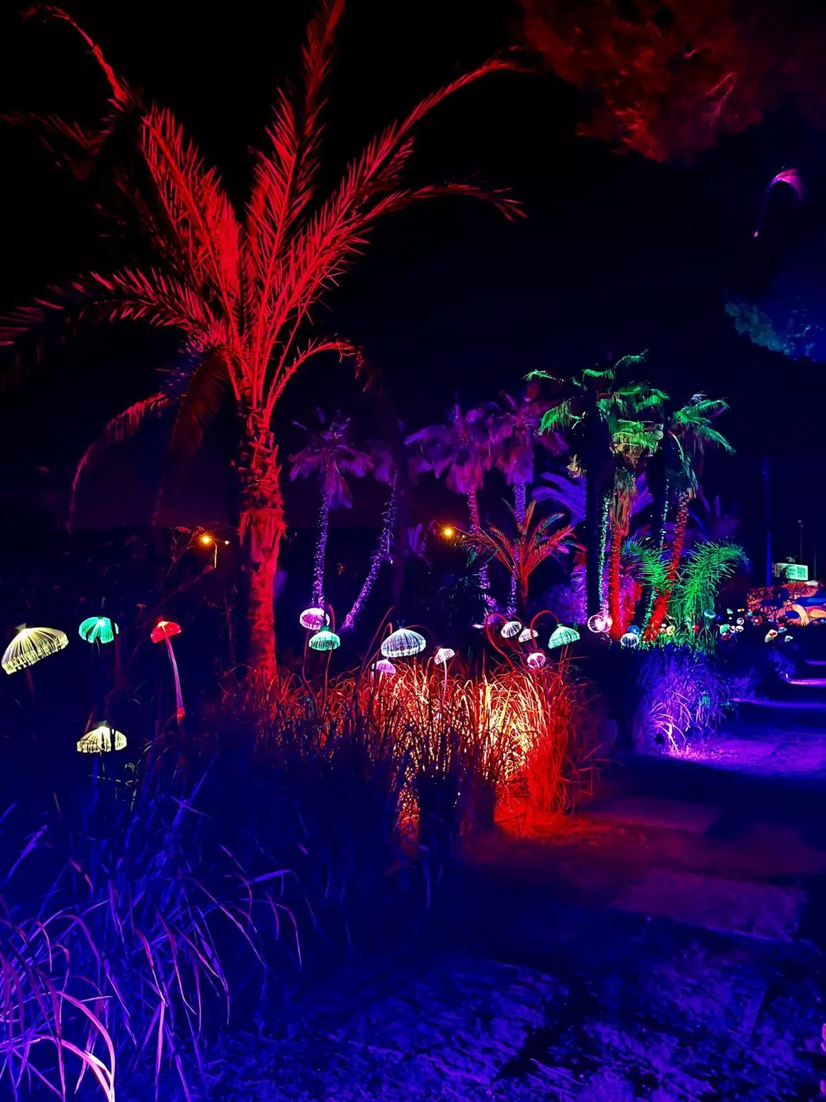 F3F79882 132B 4769 8Ae0 F397C0979C67 Source Aspect Ratio Default 0 &Ndash; Diario De Ibiza News