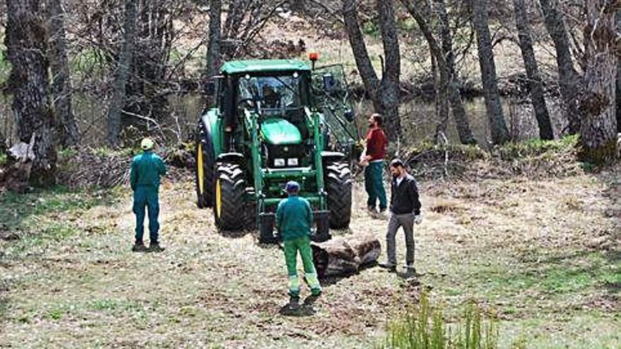 Trabajos selvícolas en una pradera de Sanabria.