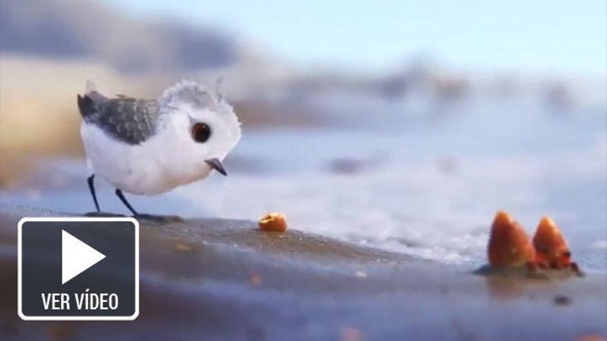 &#039;Piper&#039;, el último corto de Pixar.