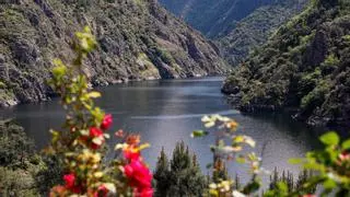 Navegando la viticultura heroica: a la venta los billetes de los catamaranes de la Ribeira Sacra